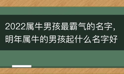 2022属牛男孩最霸气的名字，明年属牛的男孩起什么名字好