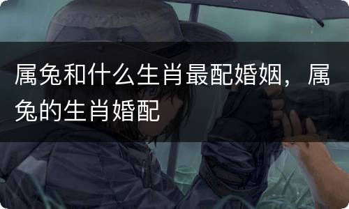 属兔和什么生肖最配婚姻，属兔的生肖婚配