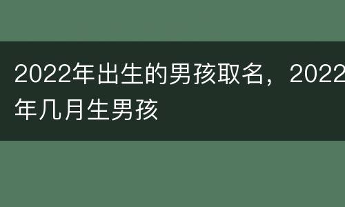 2022年出生的男孩取名，2022年几月生男孩