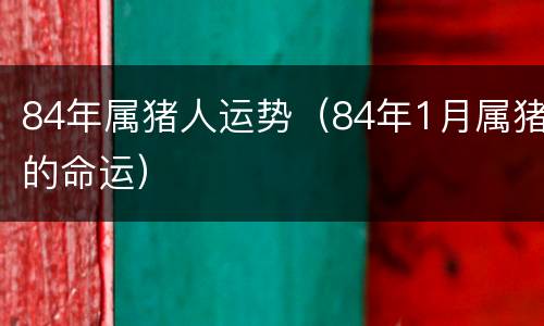 84年属猪人运势（84年1月属猪的命运）