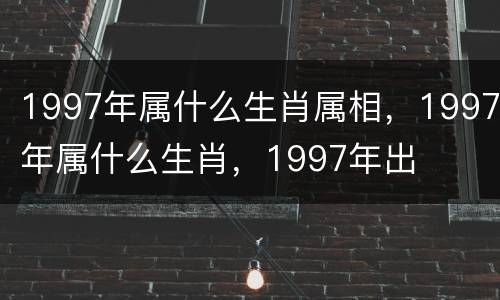 1997年属什么生肖属相，1997年属什么生肖，1997年出