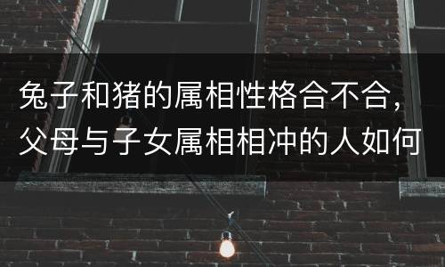 兔子和猪的属相性格合不合，父母与子女属相相冲的人如何化解