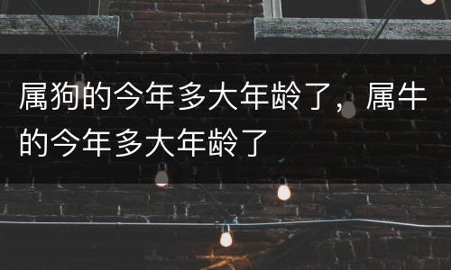 属狗的今年多大年龄了，属牛的今年多大年龄了