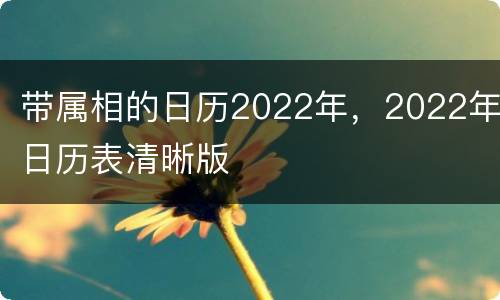 带属相的日历2022年，2022年日历表清晰版