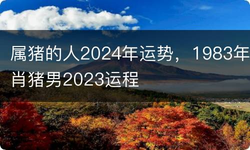 属猪的人2024年运势，1983年肖猪男2023运程