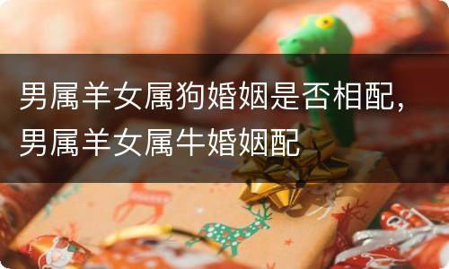 男属羊女属狗婚姻是否相配，男属羊女属牛婚姻配