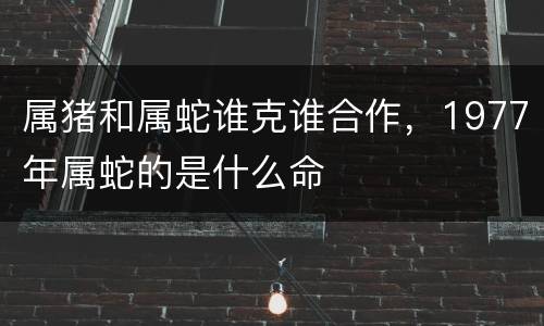 属猪和属蛇谁克谁合作，1977年属蛇的是什么命