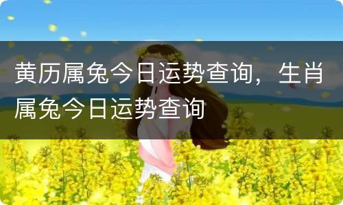 黄历属兔今日运势查询，生肖属兔今日运势查询
