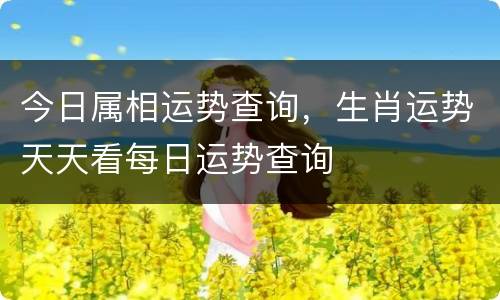 今日属相运势查询，生肖运势天天看每日运势查询