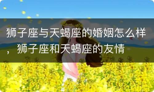 狮子座与天蝎座的婚姻怎么样，狮子座和天蝎座的友情