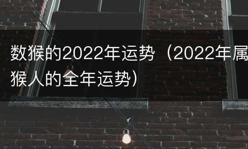 数猴的2022年运势（2022年属猴人的全年运势）