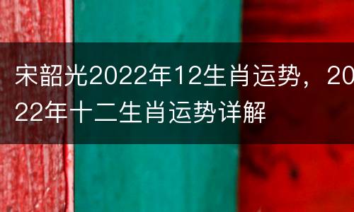 宋韶光2022年12生肖运势，2022年十二生肖运势详解