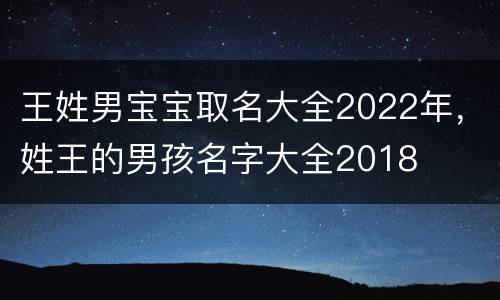 王姓男宝宝取名大全2022年，姓王的男孩名字大全2018