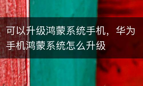 可以升级鸿蒙系统手机，华为手机鸿蒙系统怎么升级