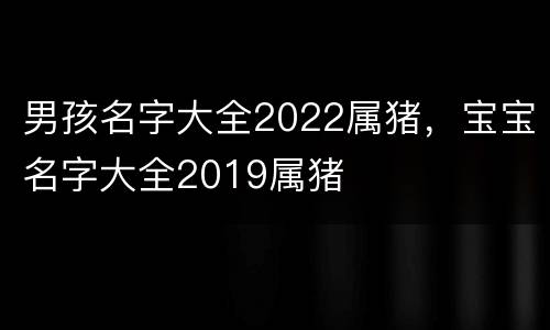 男孩名字大全2022属猪，宝宝名字大全2019属猪