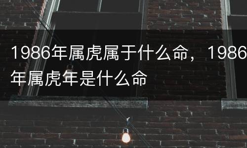 1986年属虎属于什么命，1986年属虎年是什么命