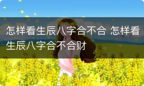 怎样看生辰八字合不合 怎样看生辰八字合不合财