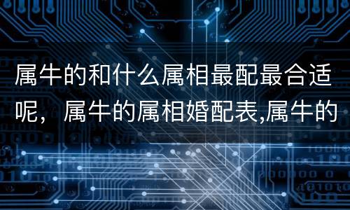 属牛的和什么属相最配最合适呢，属牛的属相婚配表,属牛的和什么