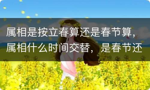 属相是按立春算还是春节算，属相什么时间交替，是春节还是立春？