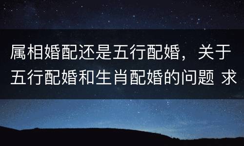 属相婚配还是五行配婚，关于五行配婚和生肖配婚的问题 求教大师,属相婚配