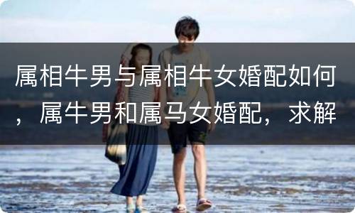 属相牛男与属相牛女婚配如何，属牛男和属马女婚配，求解