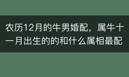 农历12月的牛男婚配，属牛十一月出生的的和什么属相最配