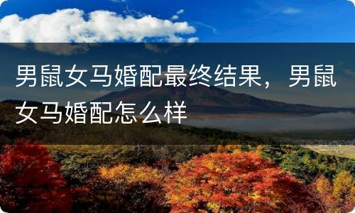 男鼠女马婚配最终结果，男鼠女马婚配怎么样