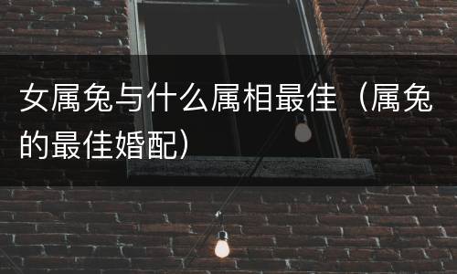 女属兔与什么属相最佳（属兔的最佳婚配）