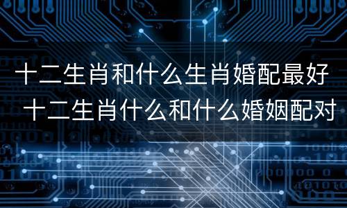 十二生肖和什么生肖婚配最好 十二生肖什么和什么婚姻配对最好