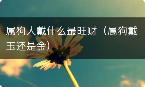 属狗人戴什么最旺财（属狗戴玉还是金）