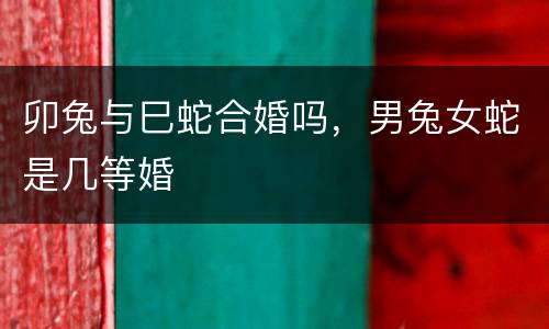 卯兔与巳蛇合婚吗，男兔女蛇是几等婚