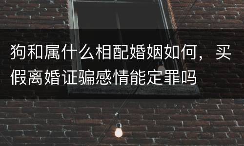 狗和属什么相配婚姻如何，买假离婚证骗感情能定罪吗
