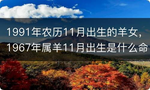 1991年农历11月出生的羊女，1967年属羊11月出生是什么命