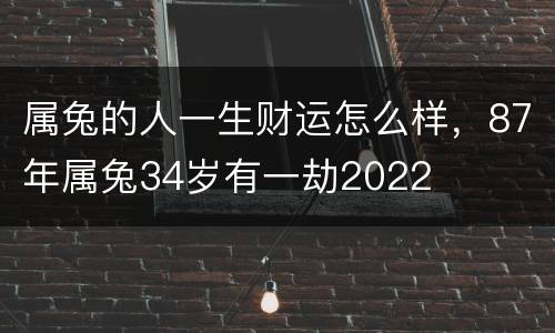 属兔的人一生财运怎么样，87年属兔34岁有一劫2022