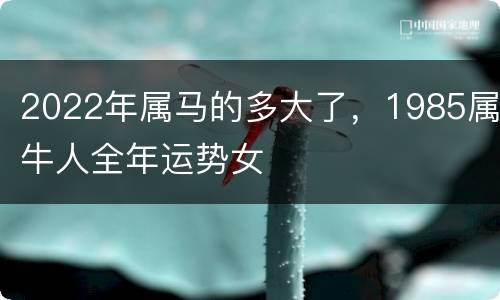 2022年属马的多大了，1985属牛人全年运势女