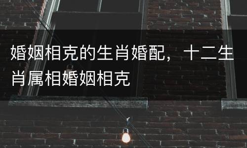婚姻相克的生肖婚配，十二生肖属相婚姻相克