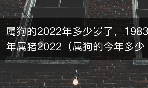 属狗的2022年多少岁了，1983年属猪2022（属狗的今年多少岁属猪）