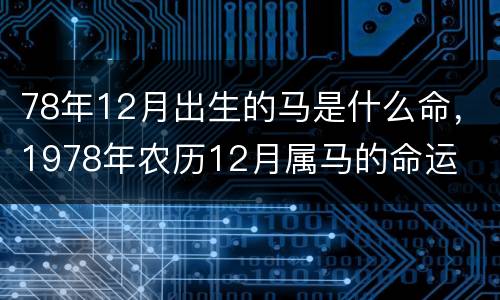 78年12月出生的马是什么命，1978年农历12月属马的命运