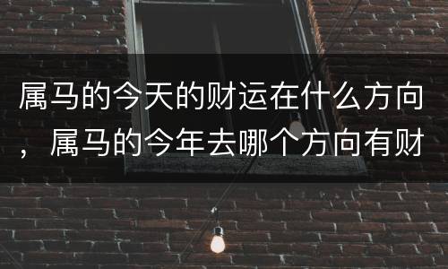 属马的今天的财运在什么方向，属马的今年去哪个方向有财