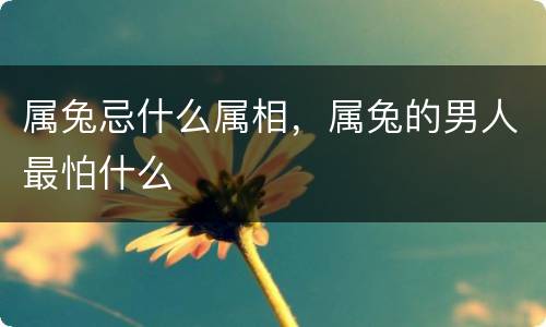 属兔忌什么属相，属兔的男人最怕什么