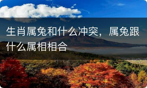 生肖属兔和什么冲突，属兔跟什么属相相合