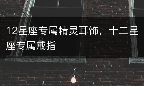 12星座专属精灵耳饰，十二星座专属戒指