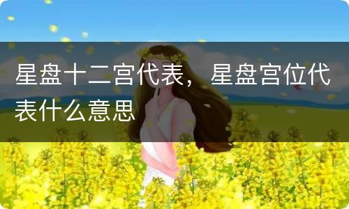 星盘十二宫代表，星盘宫位代表什么意思