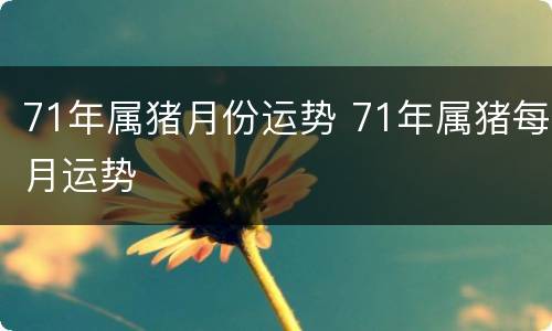 71年属猪月份运势 71年属猪每月运势