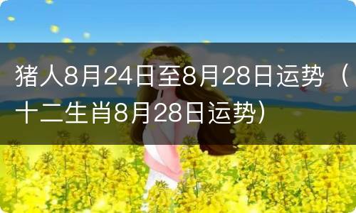 猪人8月24日至8月28日运势（十二生肖8月28日运势）