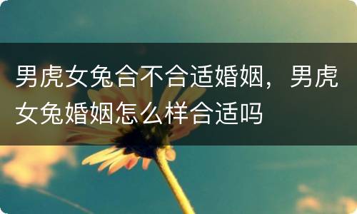 男虎女兔合不合适婚姻，男虎女兔婚姻怎么样合适吗