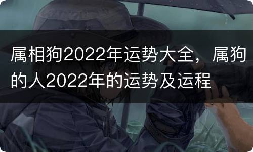 属相狗2022年运势大全，属狗的人2022年的运势及运程