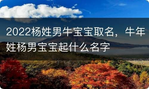 2022杨姓男牛宝宝取名，牛年姓杨男宝宝起什么名字