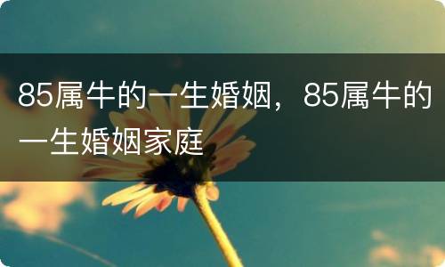 85属牛的一生婚姻，85属牛的一生婚姻家庭