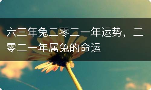 六三年兔二零二一年运势，二零二一年属兔的命运